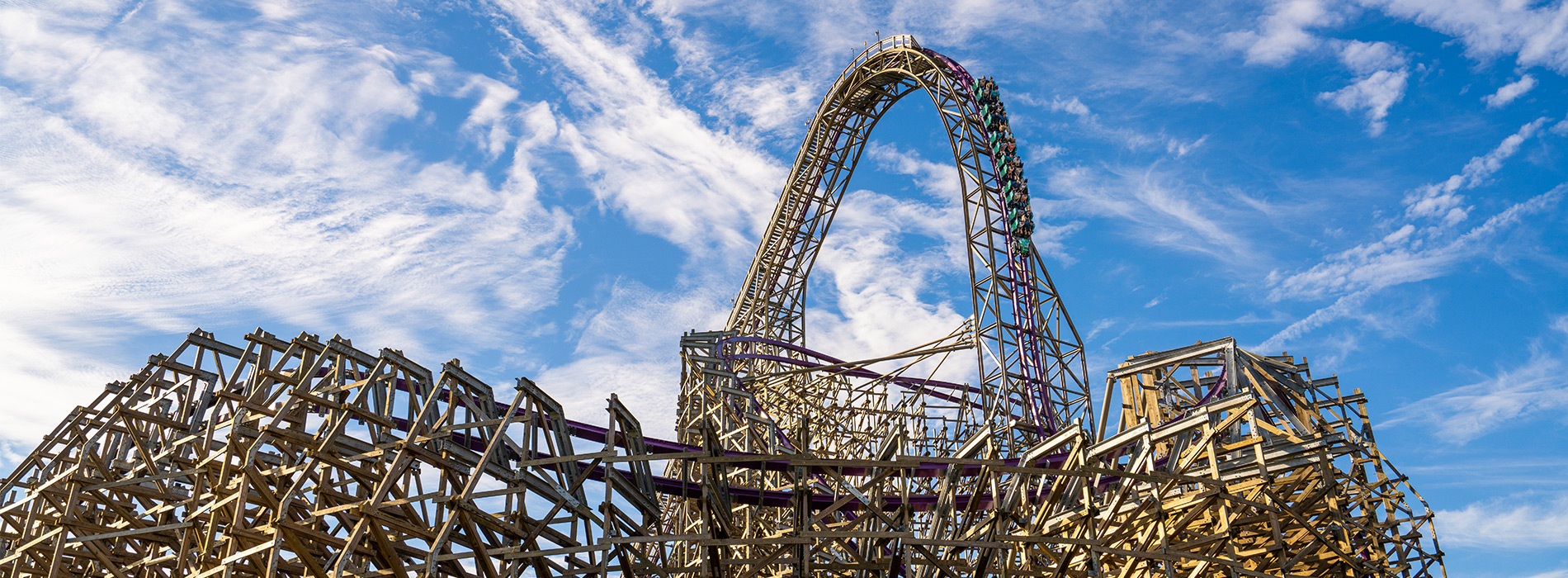 Iron Gwazi at Busch Gardens Tampa Bay
