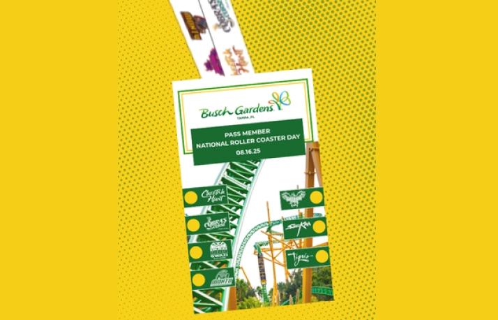 Coaster lanyard