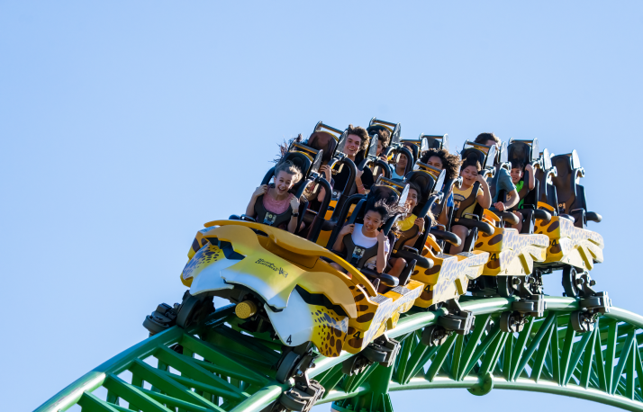 CHeetah Hunt