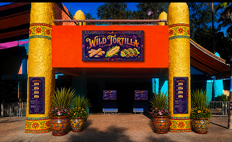 Wild Tortilla