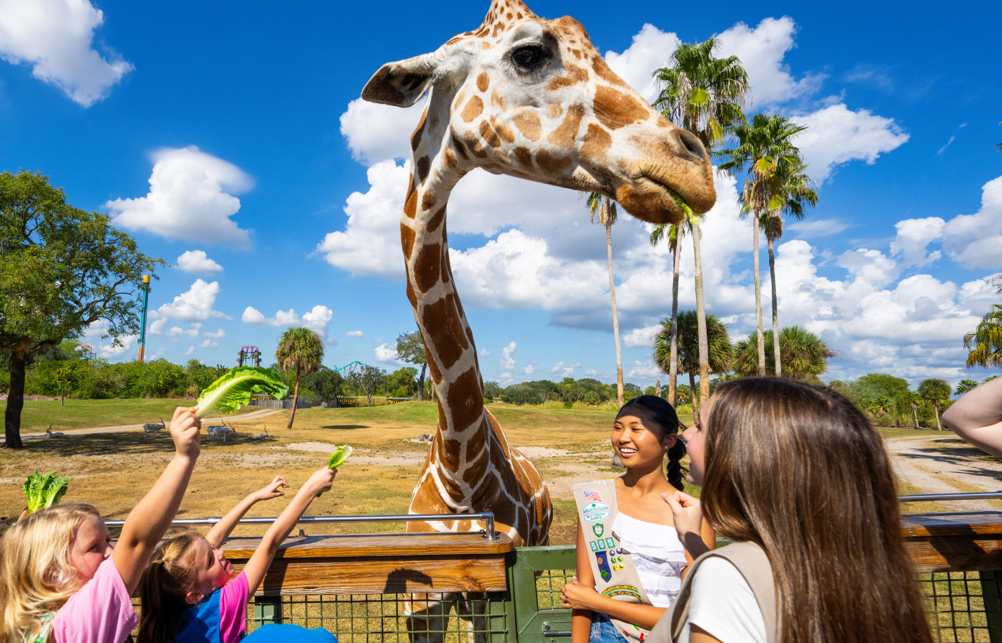 Children feeding a giraffe