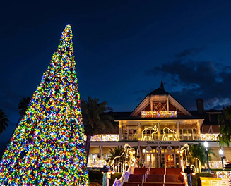Christmas Tree