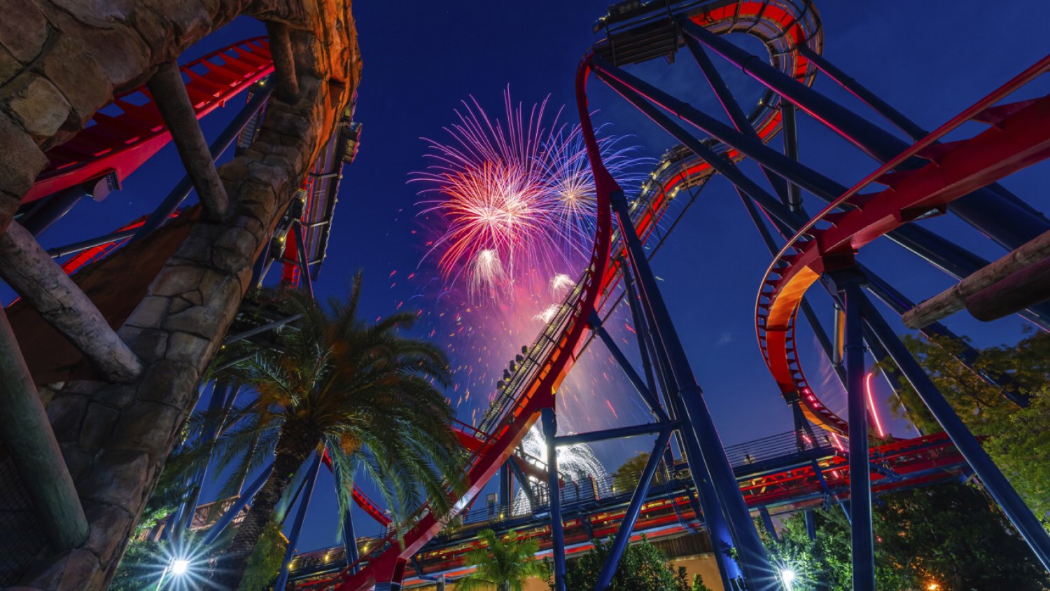 SheiKra at Busch Gardens Tampa Bay