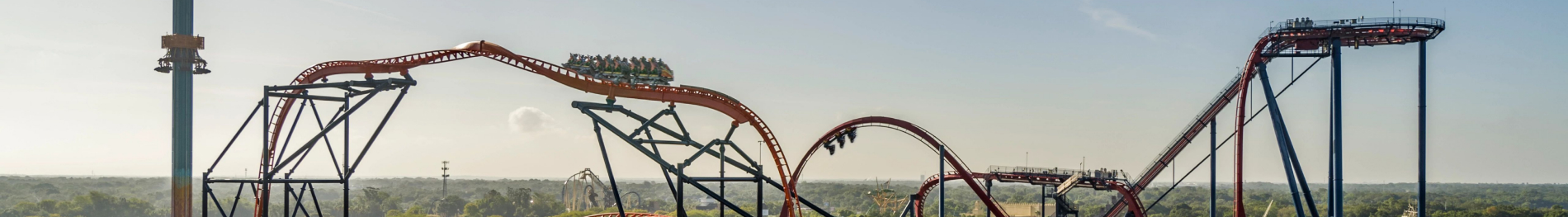Busch Gardens Tampa Bay rollercoasters 