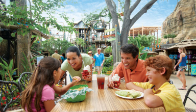 Family eating lunch