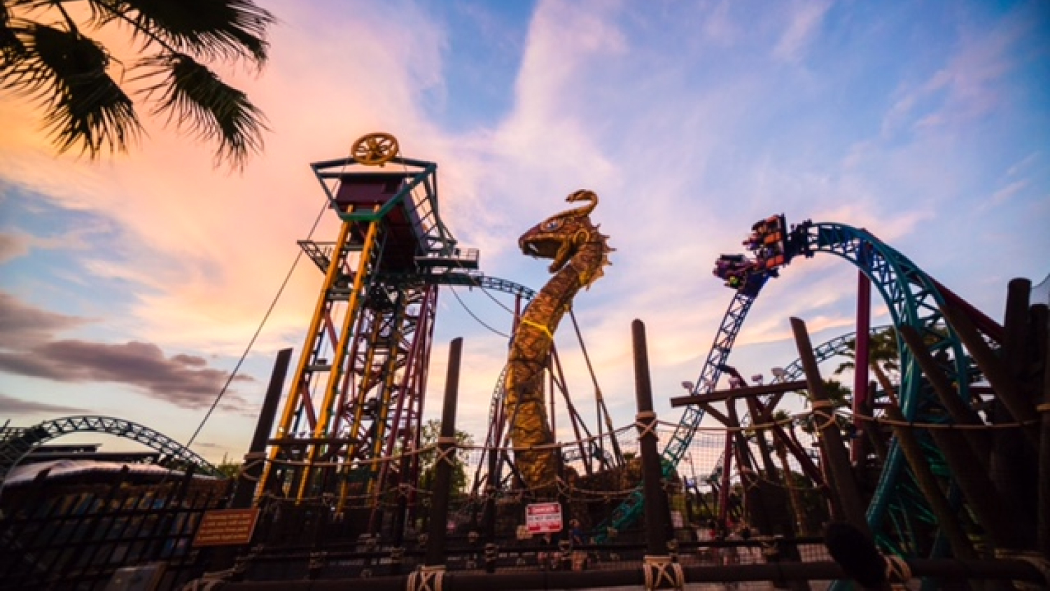 Cobra's Curse