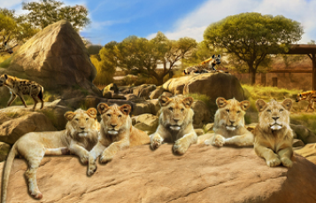 lion and hyena