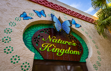 nature kingdom