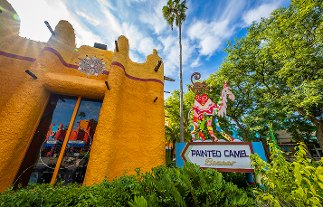painted camel