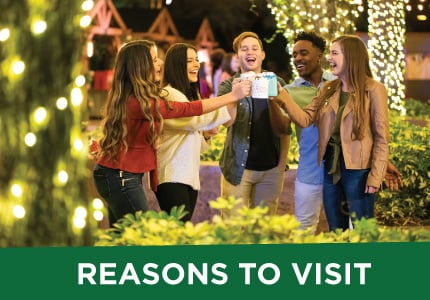Seasonal events