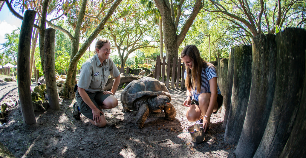 Busch Gardens Tampa Bay programs for Teachers.