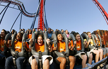 7-8 Day Camps at Busch Gardens Tampa Bay