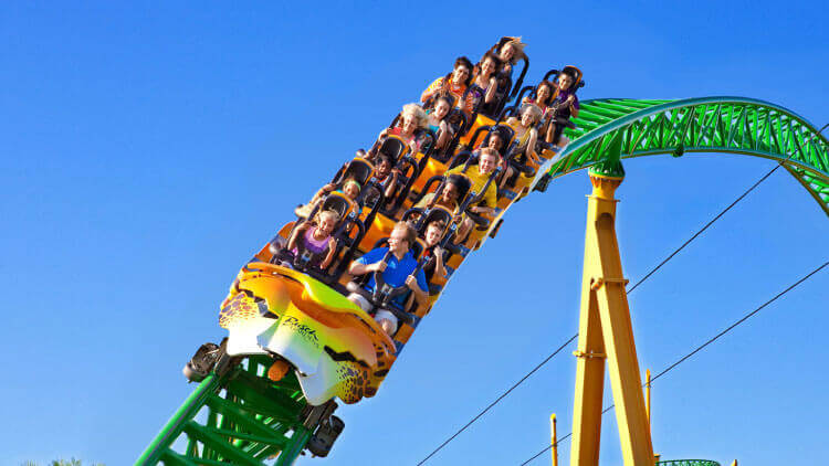 Ride Cheetah Hunt at Busch Gardens Tampa Bay