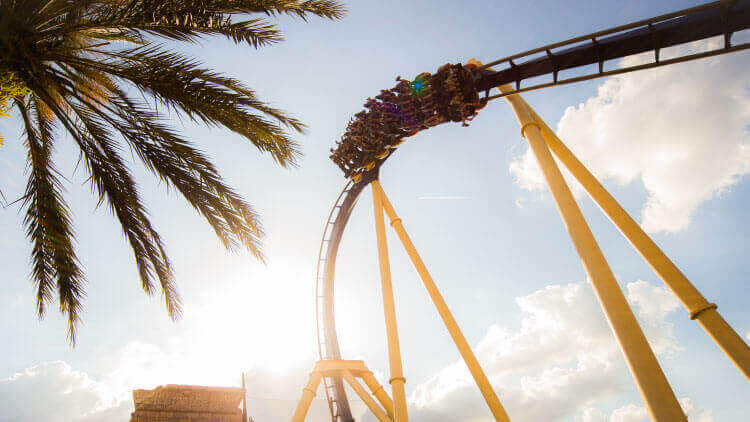 Ride Montu at Busch Gardens Tampa Bay
