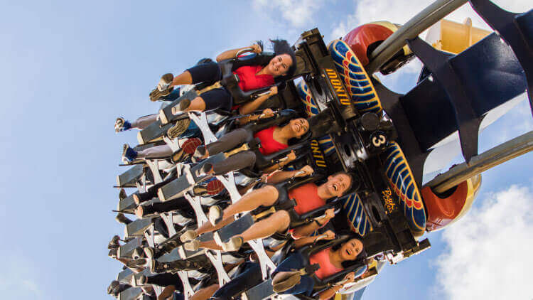 Ride Montu at Busch Gardens Tampa Bay