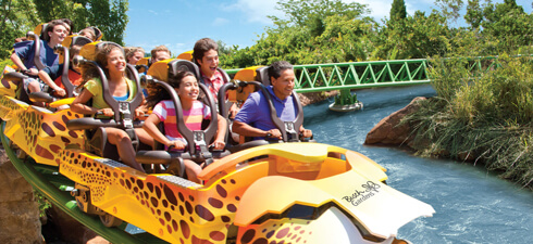 Cheetah Hunt