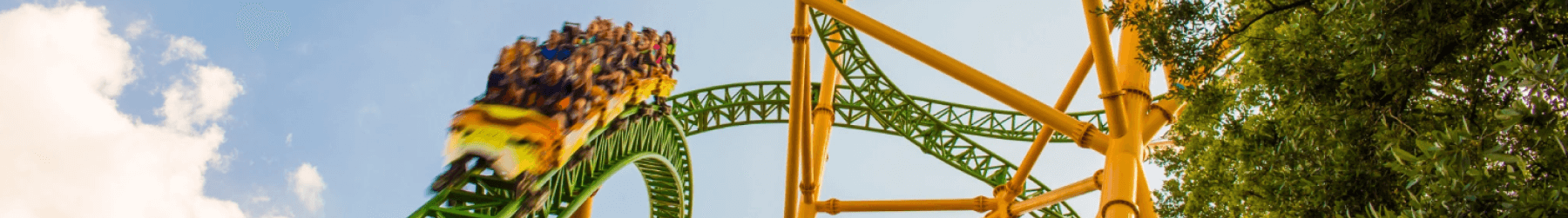 Cheetah Hunt
