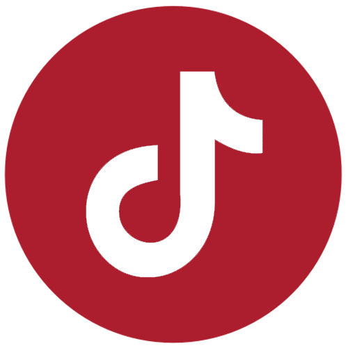 TikTok Icon