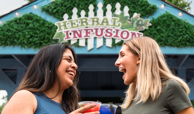 Herbal Infusions