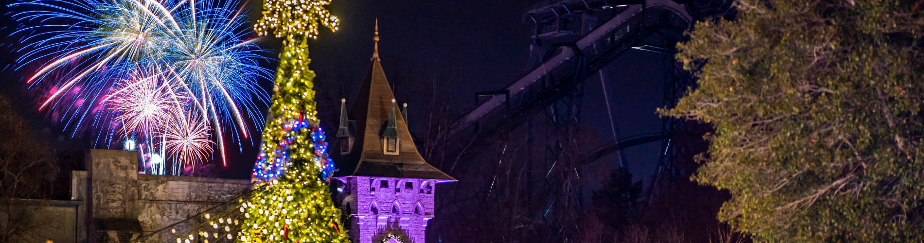 New Years Eve Fireworks at Busch Gardens Williamsburg