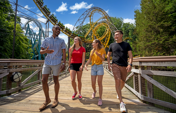 Busch Gardens Williamsburg Grimms Bridge