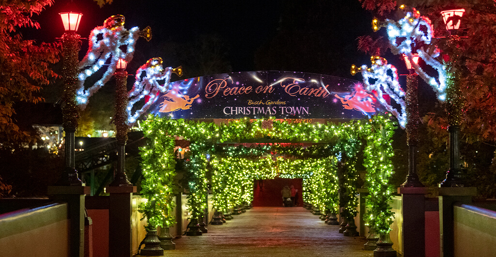 Italy Bridge Christmas Lights