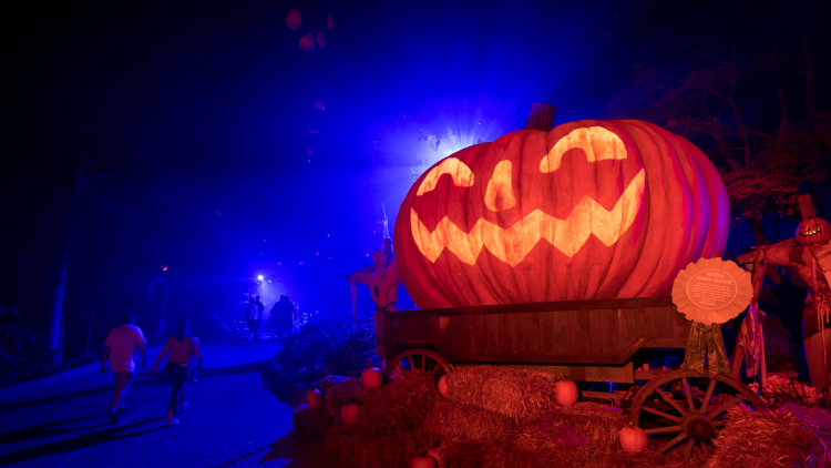 Friends enjoying Busch Gardens Williamsburg Howl-O-Scream.