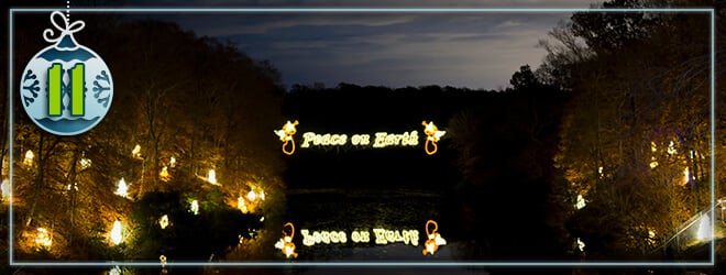 Marvel at the Peace on Earth sign across the water