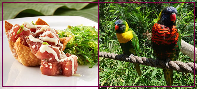 Tuna Poke with Lorikeets