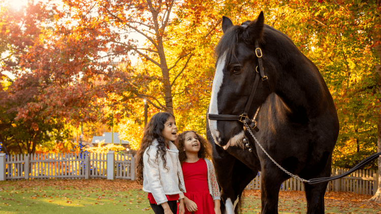 Two girls meeting a clydesdale horse 