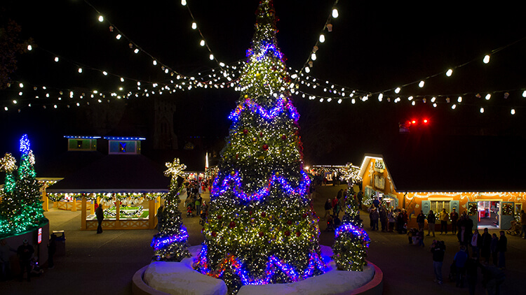 O' Tannenbaum 1