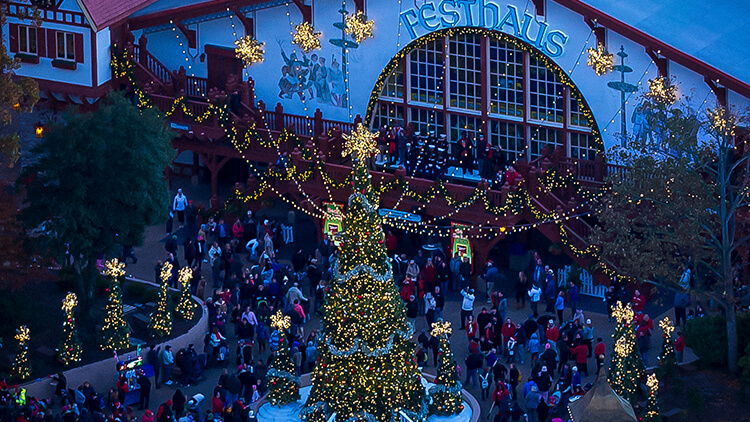 O' Tannenbaum 4