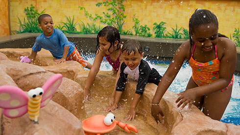 Sesame Street Forest of Fun includes a show with the characters, photo opportunities, kids rides, playground, and  water play area.